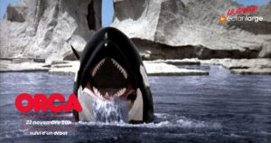 Grand Ecran Large Orca Poster